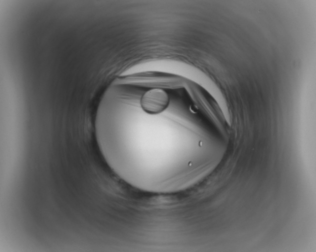 X0000111390320200907311119