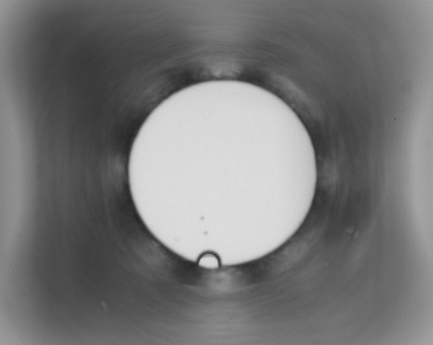 X0000111390321200907311119