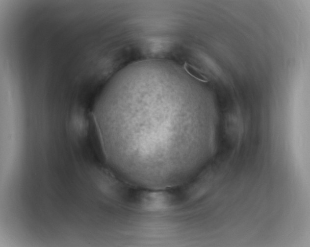 X0000111390324200907311119