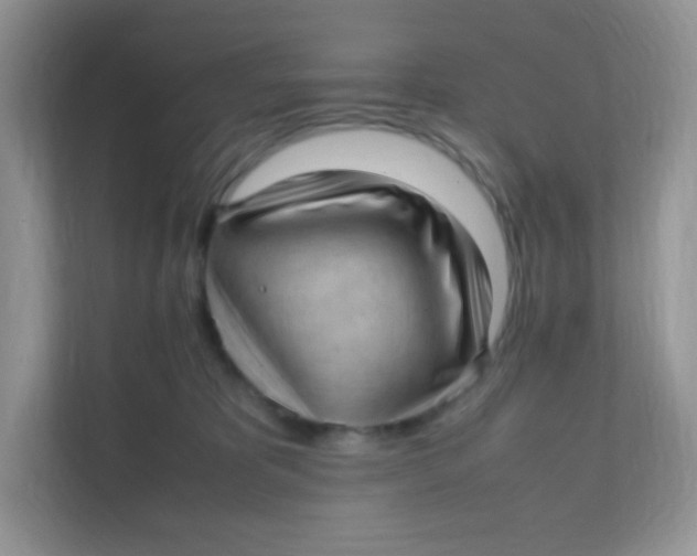 X0000111390325200907311119