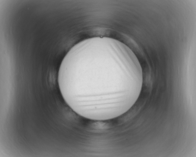 X0000111390326200907311119