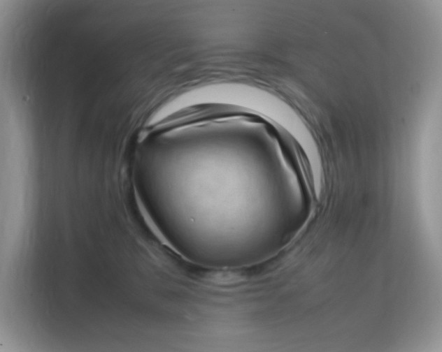 X0000111390327200907311119