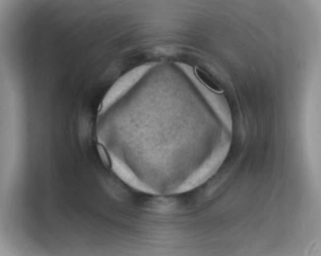 X0000111390328200907311119