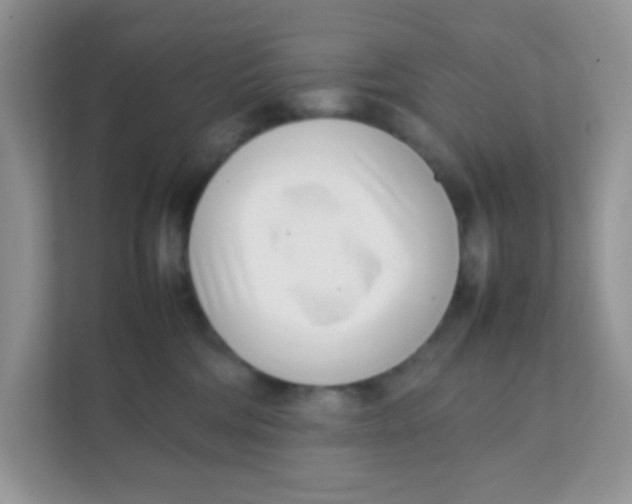 X0000111390330200907311119