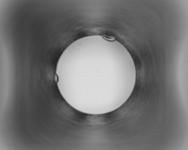 X0000111390331200907311119