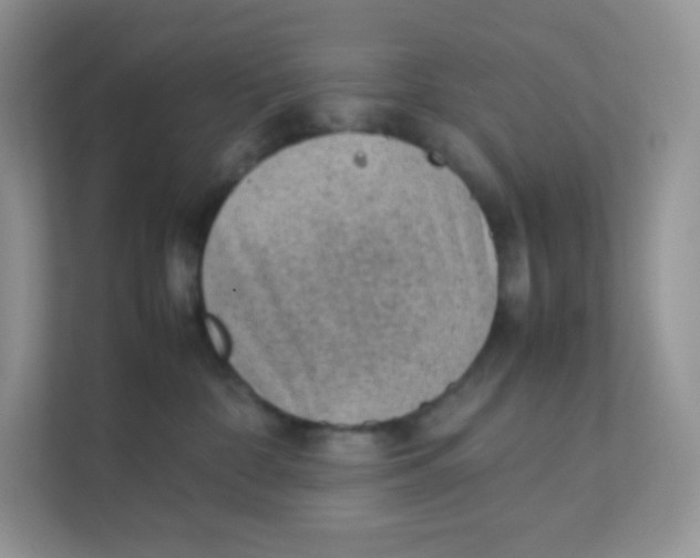 X0000111390332200907311119