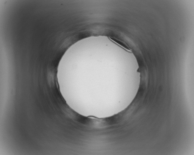 X0000111390333200907311119