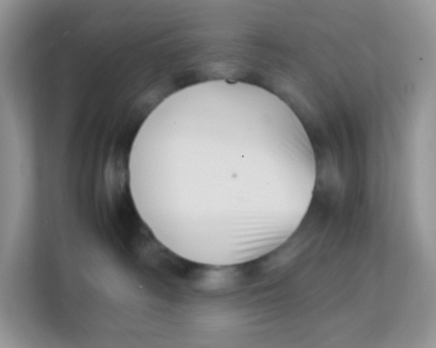 X0000111390334200907311119