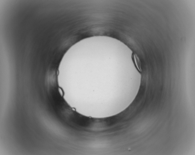 X0000111390335200907311119