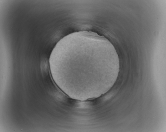 X0000111390336200907311119