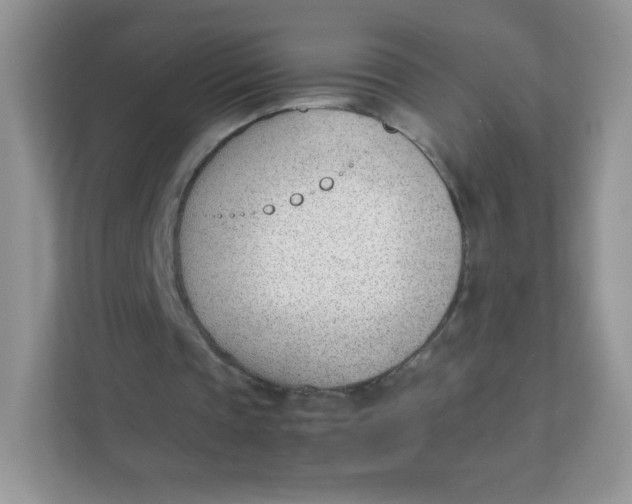 X0000111390337200907311118