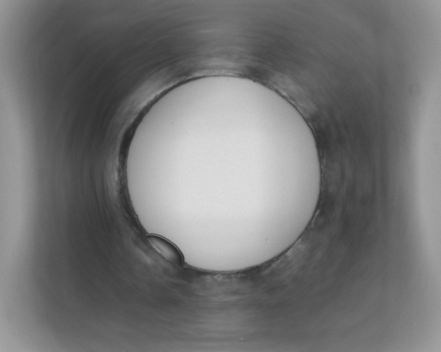 X0000111390338200907311118