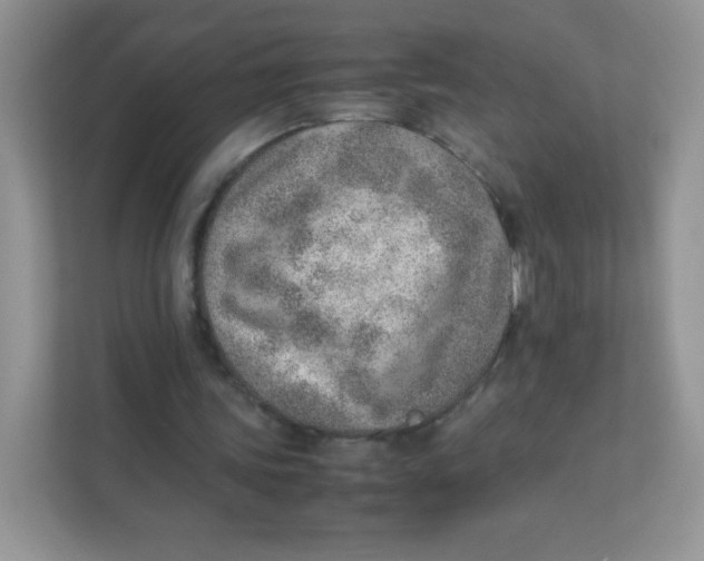 X0000111390339200907311118