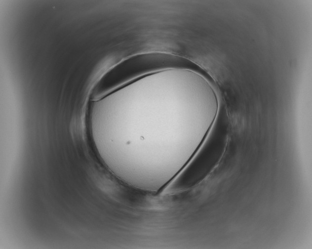 X0000111390340200907311118