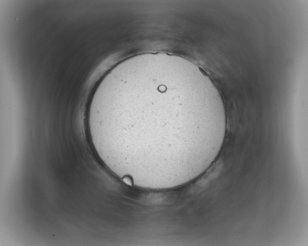 X0000111390341200907311118