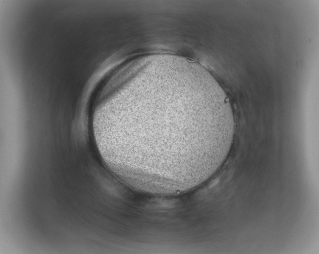 X0000111390343200907311118