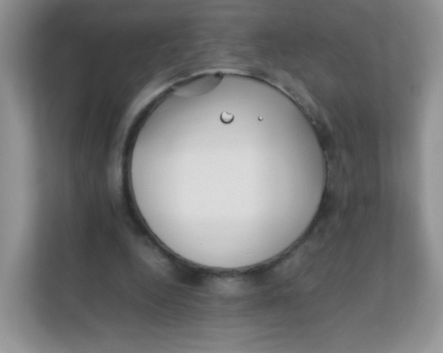 X0000111390344200907311118