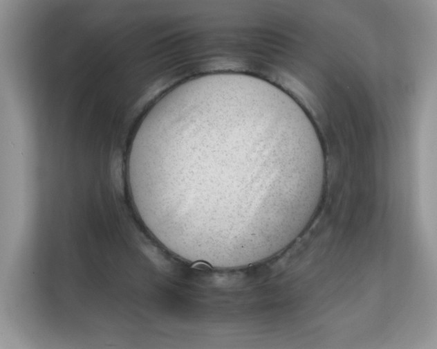 X0000111390345200907311118