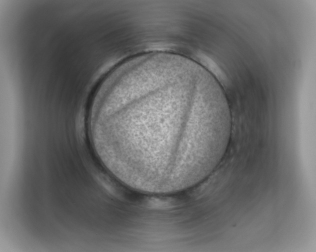 X0000111390346200907311118