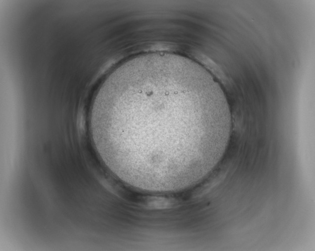 X0000111390347200907311118