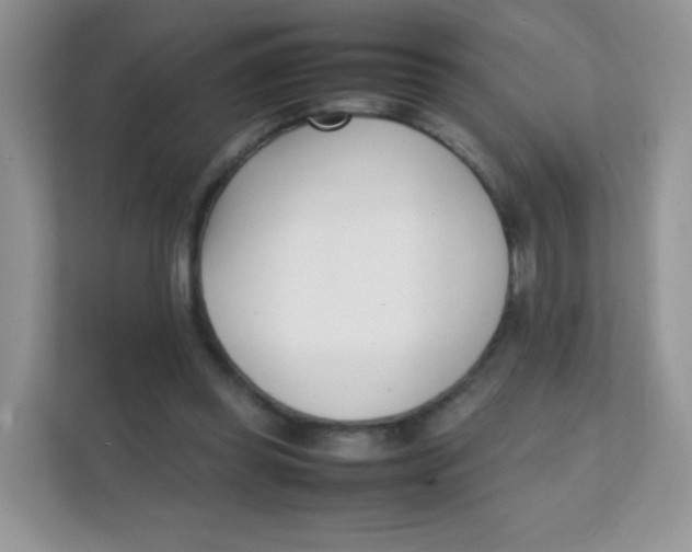 X0000111390349200907311118