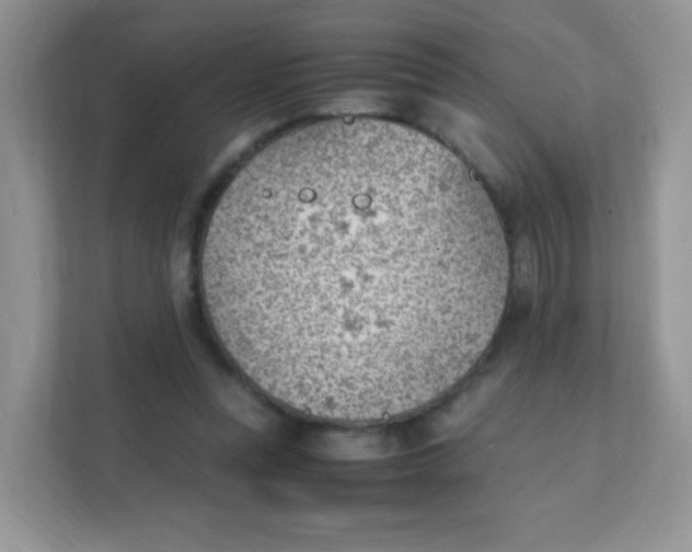 X0000111390351200907311118