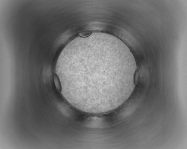 X0000111390352200907311118