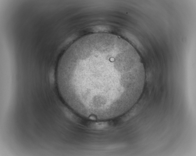 X0000111390353200907311118