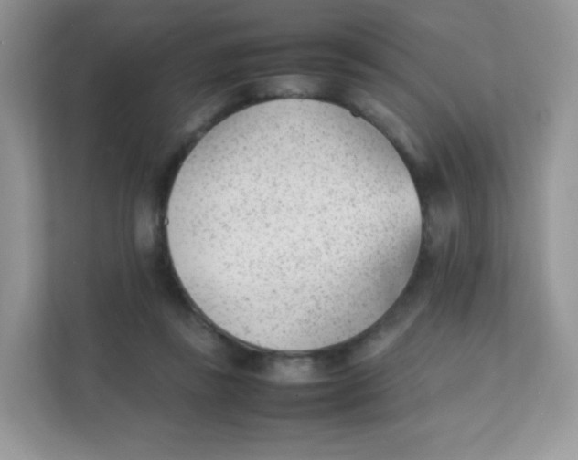 X0000111390355200907311118