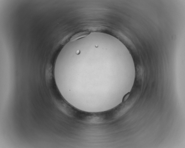 X0000111390356200907311118