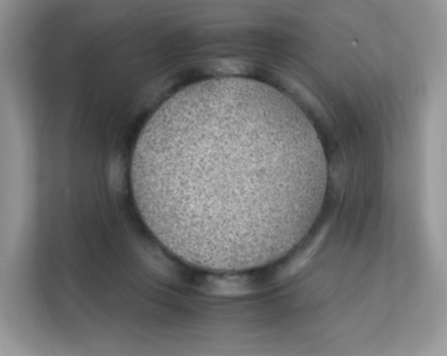 X0000111390359200907311118