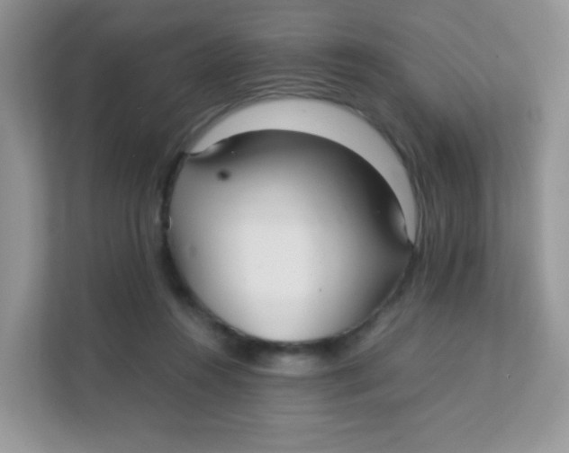 X0000111390360200907311118