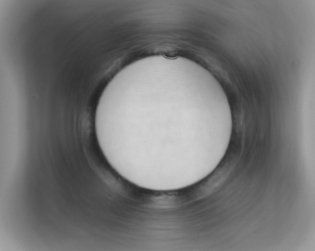 X0000111390362200907311118