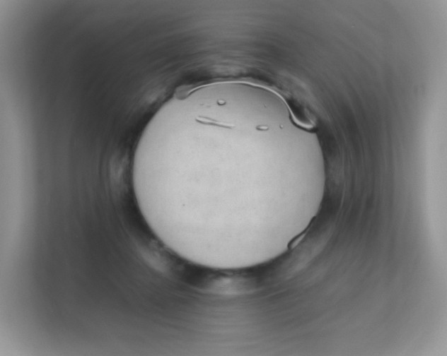 X0000111390364200907311118