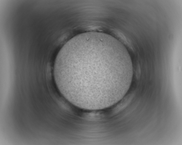 X0000111390366200907311118