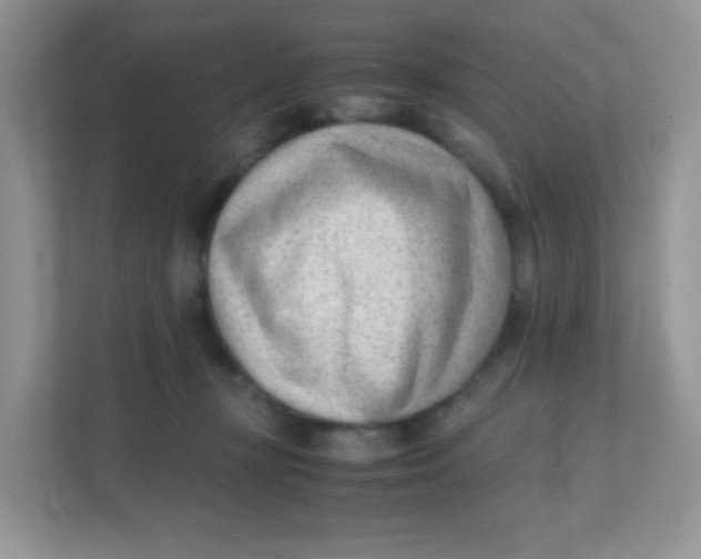 X0000111390367200907311118