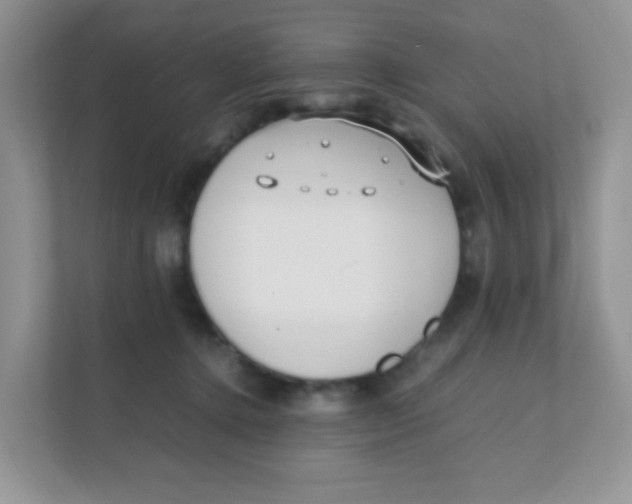 X0000111390368200907311118