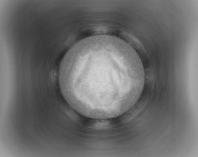 X0000111390369200907311118