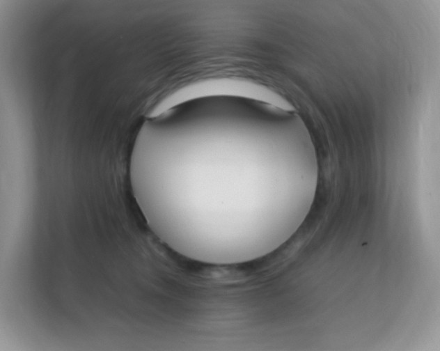 X0000111390372200907311118