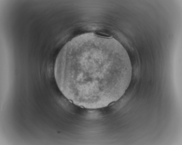 X0000111390376200907311119