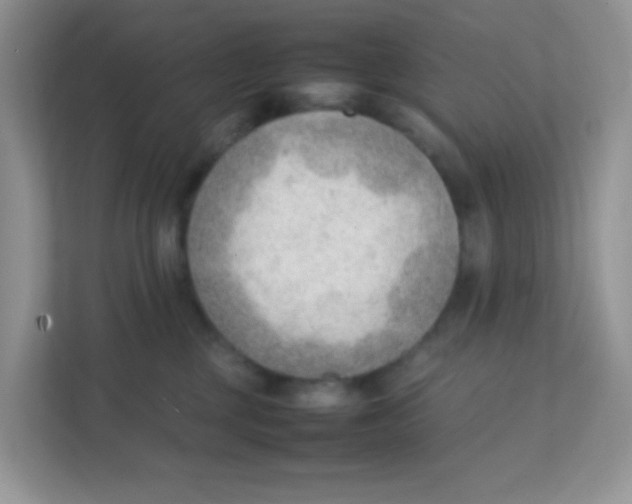 X0000111390377200907311119