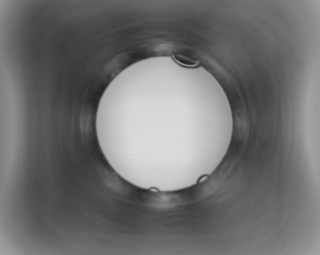 X0000111390379200907311119