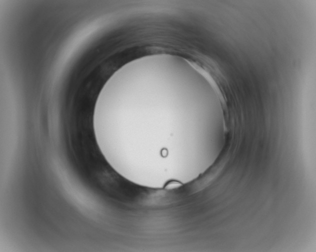 X0000111390382200907311119