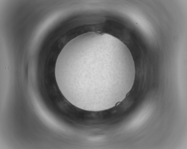 X0000111390383200907311119