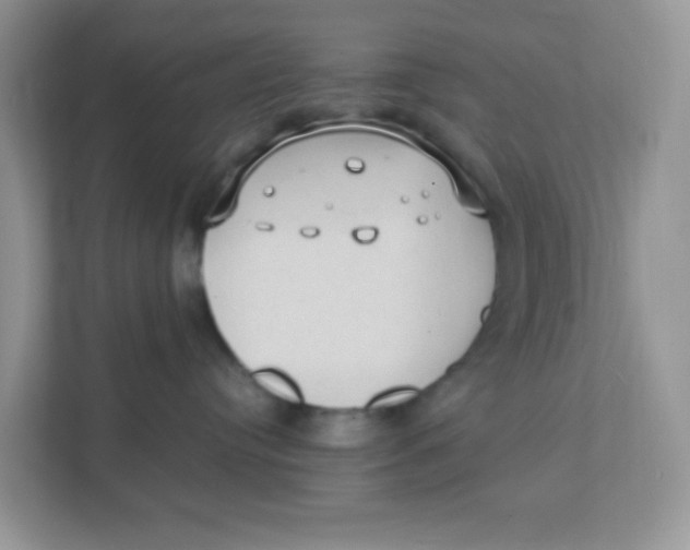 X0000111390384200907311119