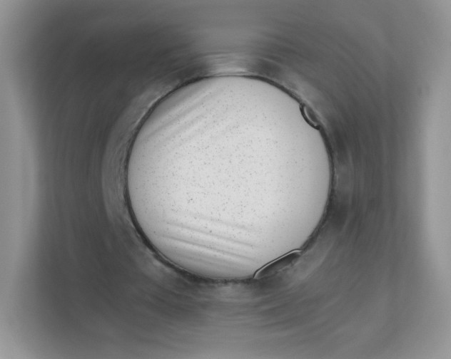 X0000111390385200907311118