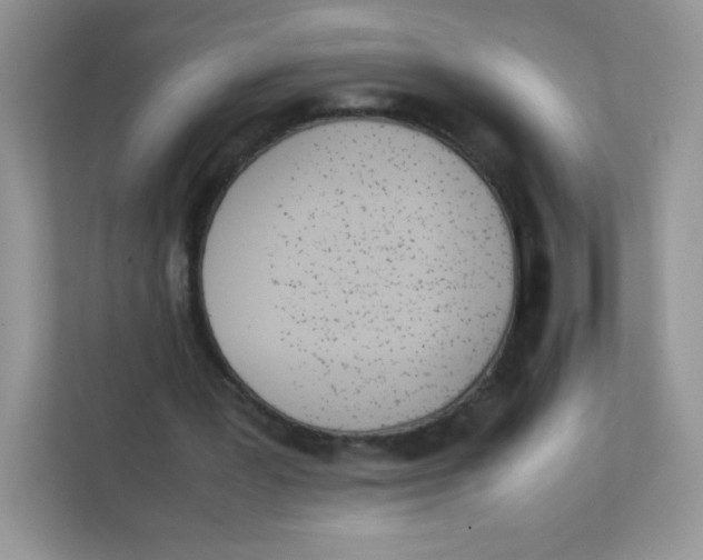 X0000111390387200907311118