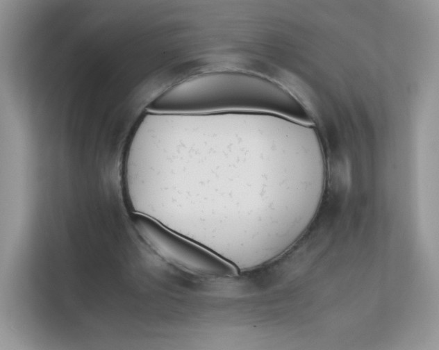 X0000111390389200907311118