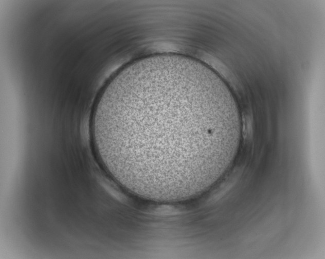 X0000111390390200907311118