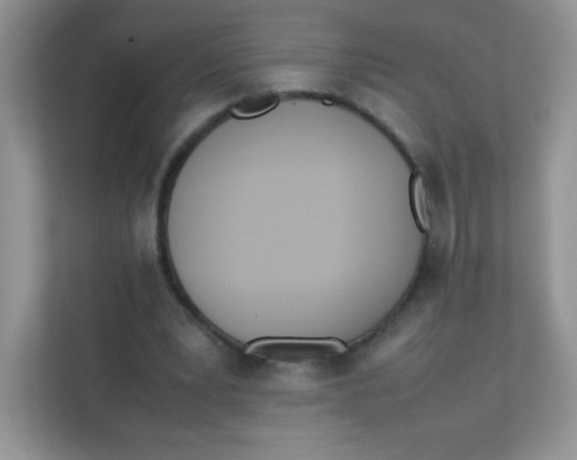 X0000111390391200907311118